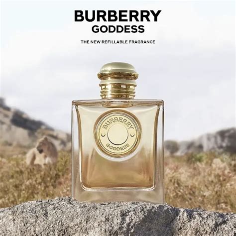 david jones burberry perfume|goddess vanilla Burberry.